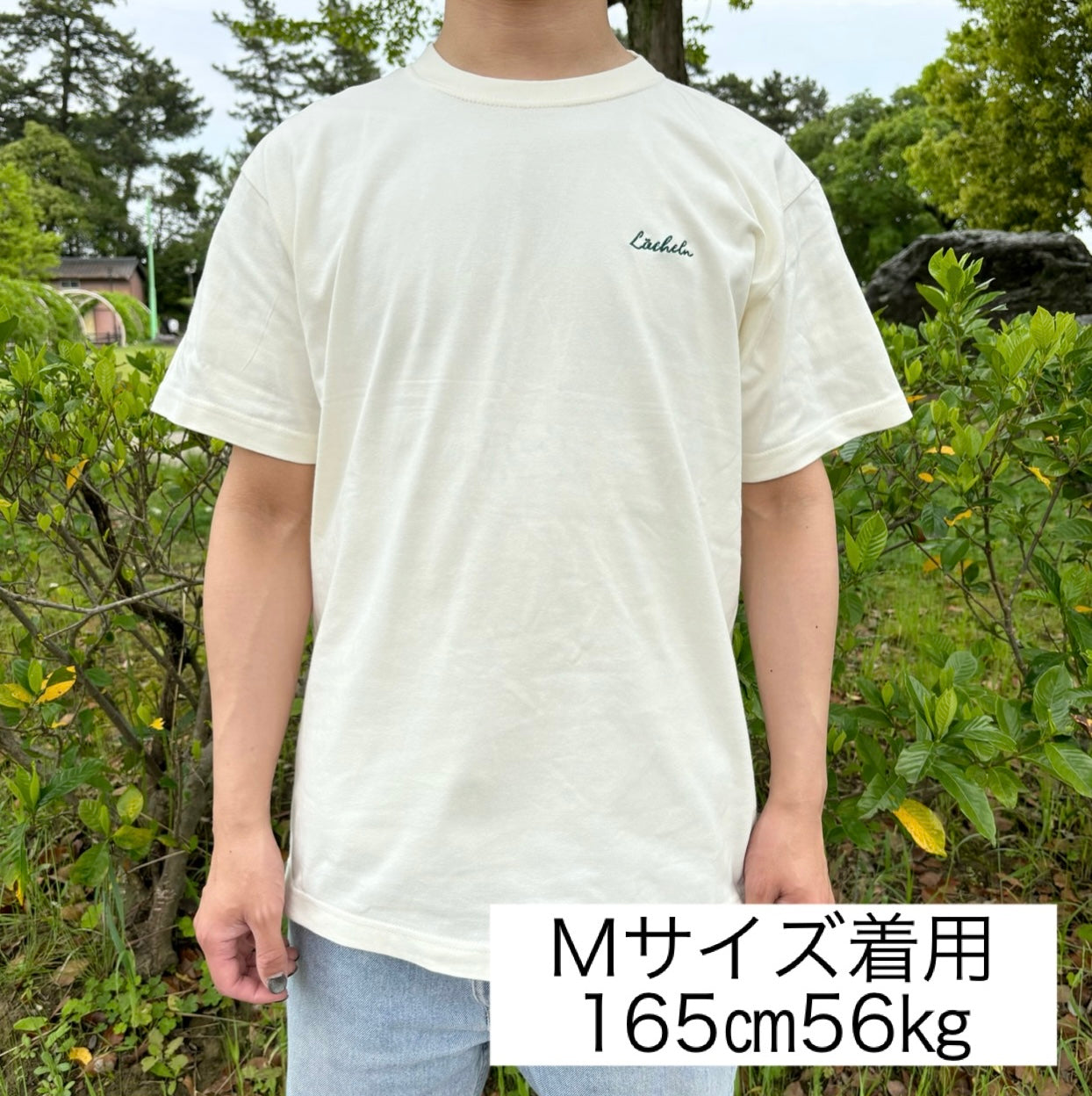 Ｔシャツ オフホワイト